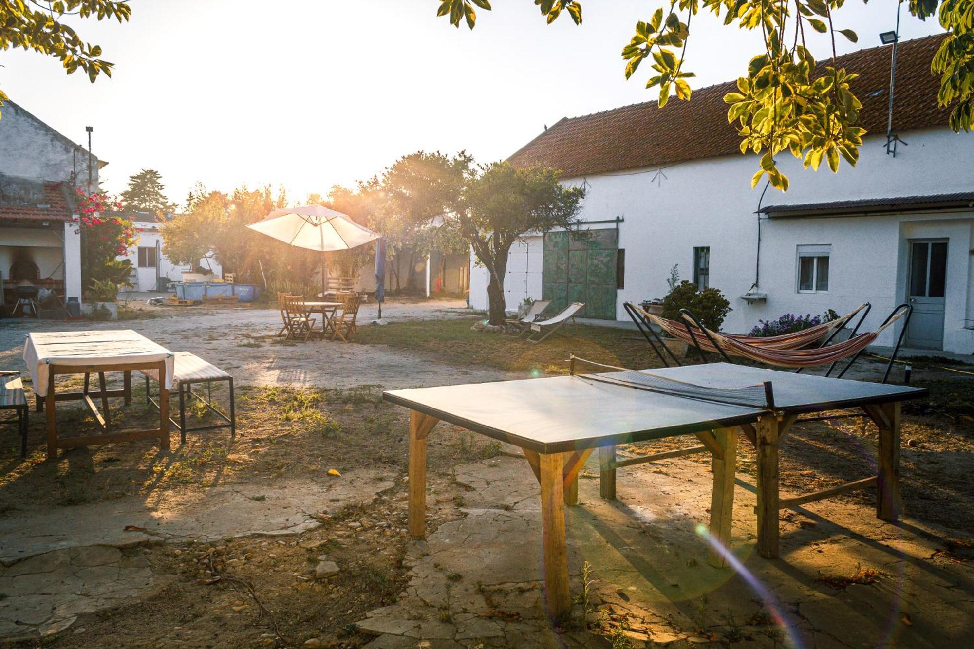 Montijo Garden - Studio With Garden View Luaran gambar