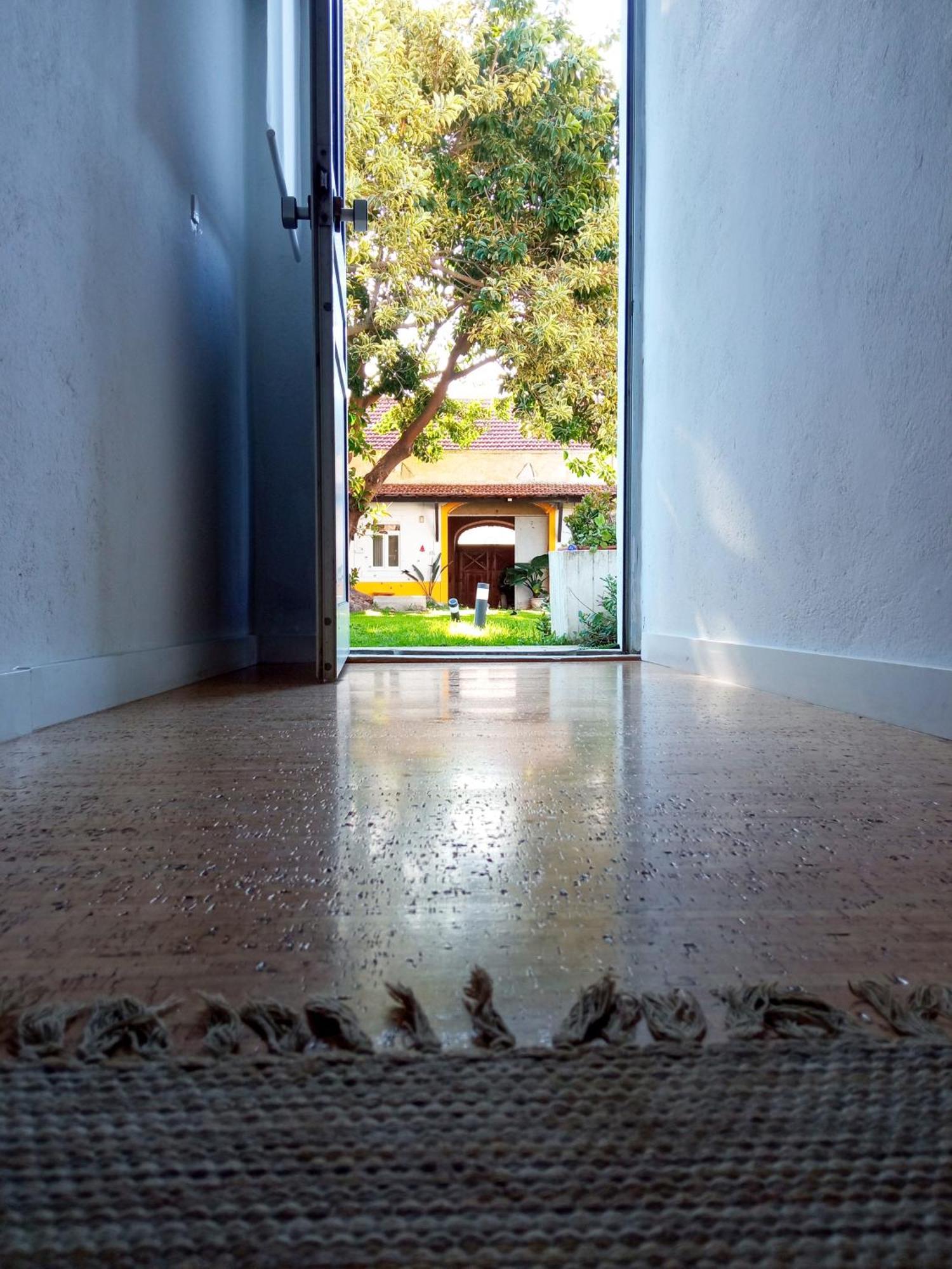 Montijo Garden - Studio With Garden View Luaran gambar